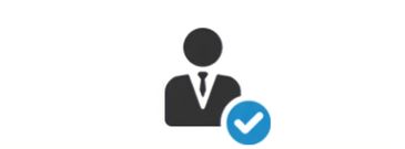 Houston Airport Limo Service: Professional Drivers Logo