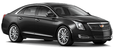 Black Generic Luxury Car isolated on white background