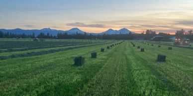 Haying in Central Oregon