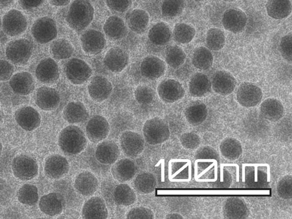 Transmission electron microscope image of uniform nanoparticles clustered together.