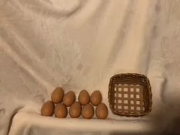 Live Cocks, Hens & Equipment
NOT YET AVAILABLE