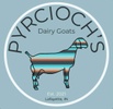 Pyrcioch Dairy goats 