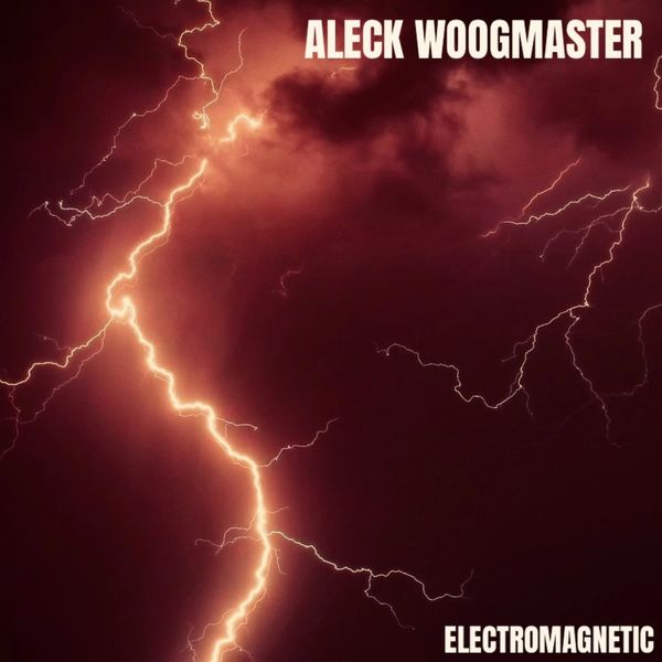 A picture of the cover art for an electronic album.