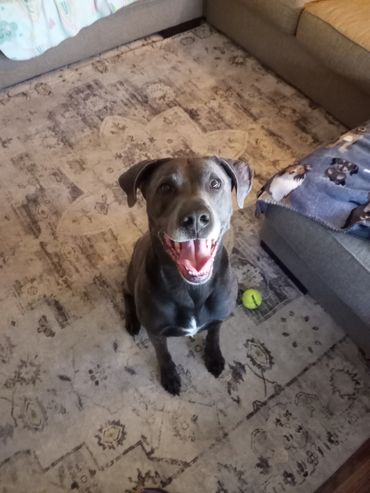 Happy boy, Lincoln smiling