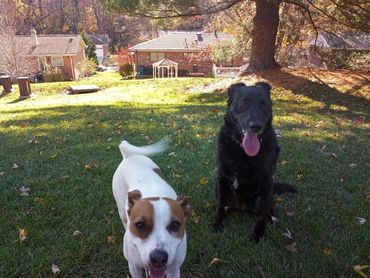 Best Friends (Jasmine & Rosie)