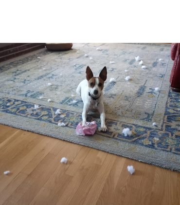 Jasmine having a blast with her birthday cake toy.