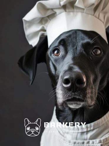 Barkery Organic Dog Food