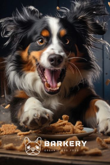 Barkery Organic Dog Food