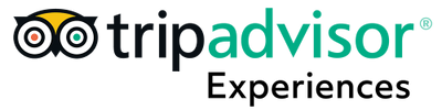 Tripadvisor Experiences showcasing diverse travel adventures, cruise lines