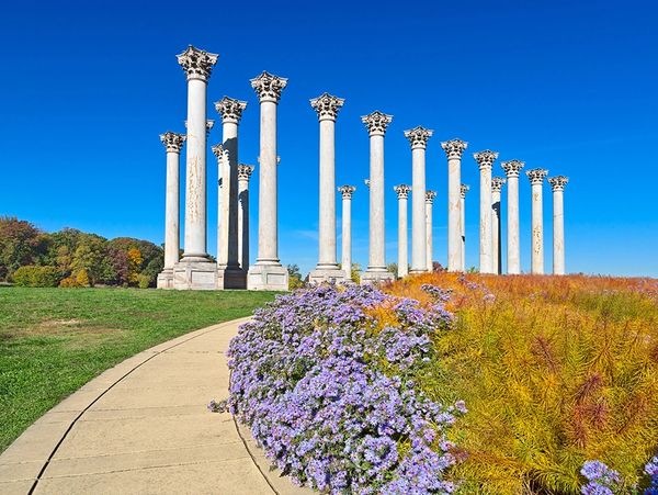 U.S. National Arboretum at We Love DC Parks Tour.