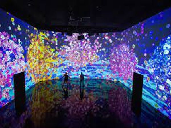 Artechouse cherry blossom exhibit on the DC Contemporary Art Tour.