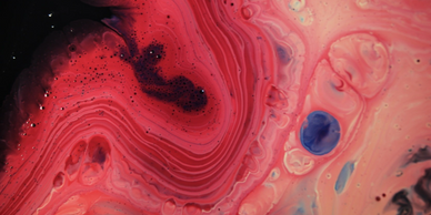 extend security to all points of connection across your network.