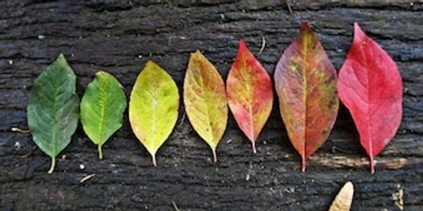 Juniper Data Center Solutions with QFX serires and SRX series