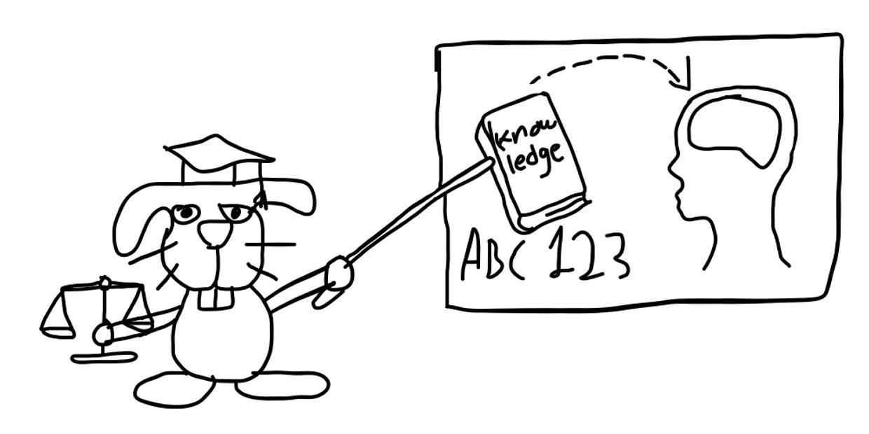 A scholarly rabbit teaches knowledge transfer with a book and brain diagram.