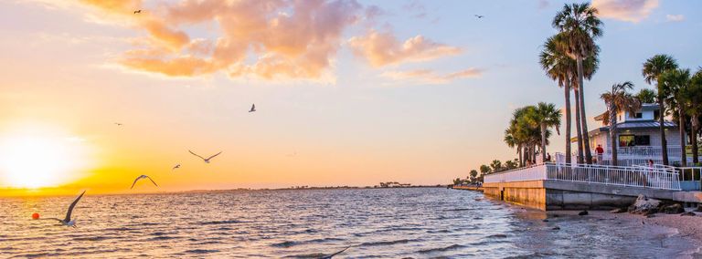 WhatsUp Tampa waterfront location. Sunset, palm trees, ocean, view, insagram perfect, beachfront