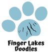 Finger Lakes Doodles
