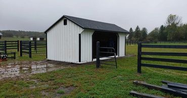 Run In out in the pasture