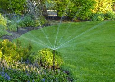 Sprinkler watering lawn and shrubs