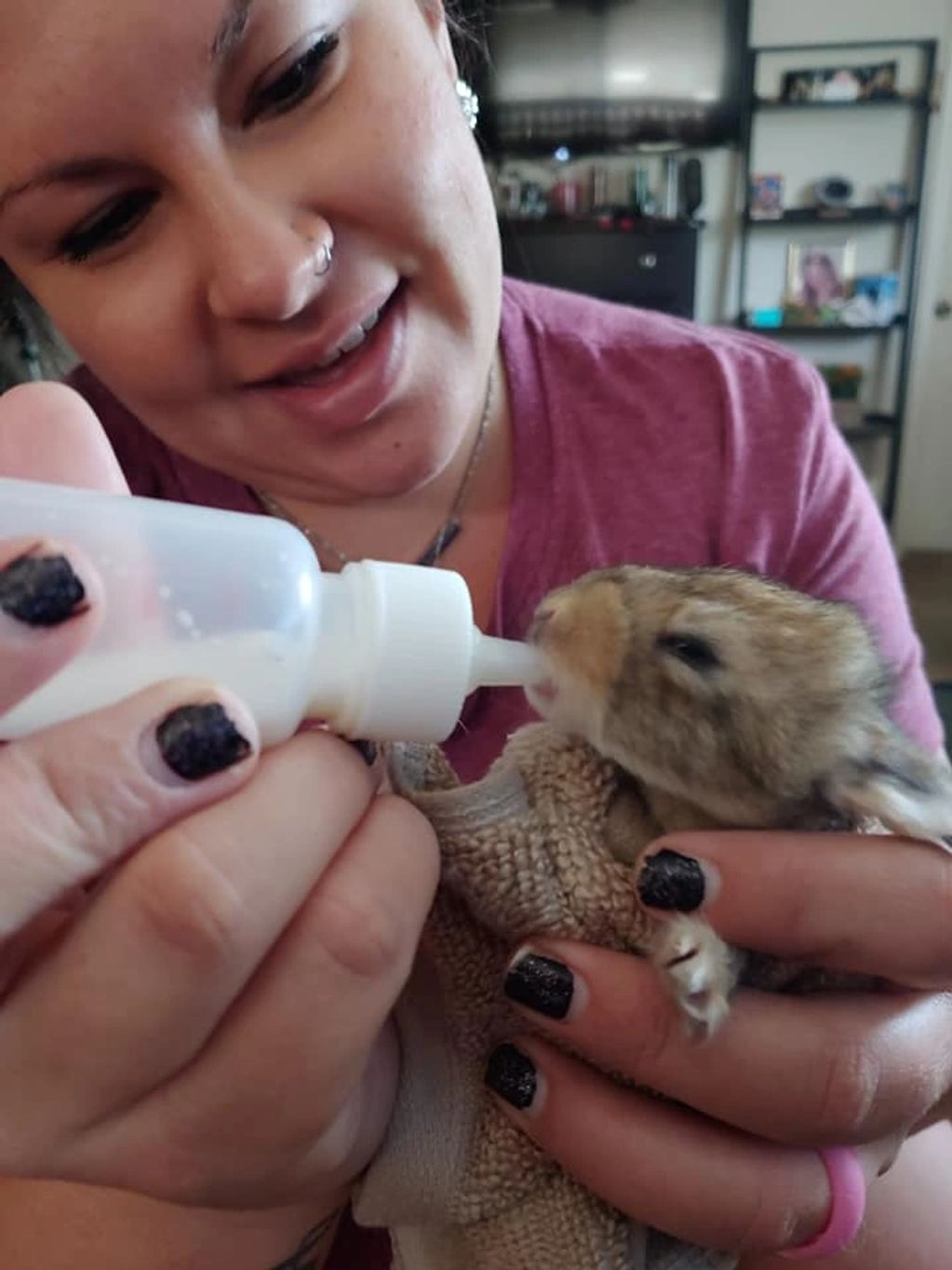 My daughter feeding one of the smaller sandy baby Flemish Giants Burritos baby
