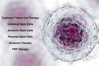 Umbilical Stem Cell Therapy Florida