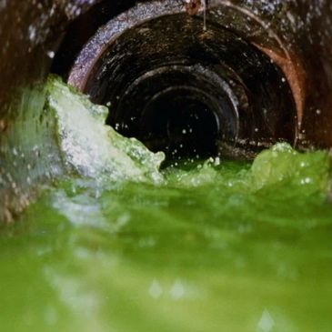 Sewer dye testing.