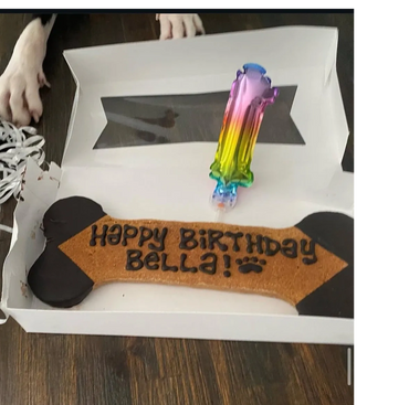 dog birthdays at Dog Moms Inn, St. Petersburg, FL. we celebrate them all.