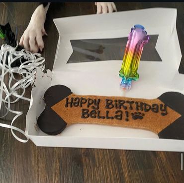 We celebrate all birthdays at Dog Moms Inn St. Pete