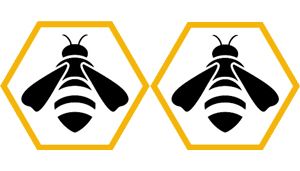 Bee Social Network
Social Skills Groups
Etiquette
Bully