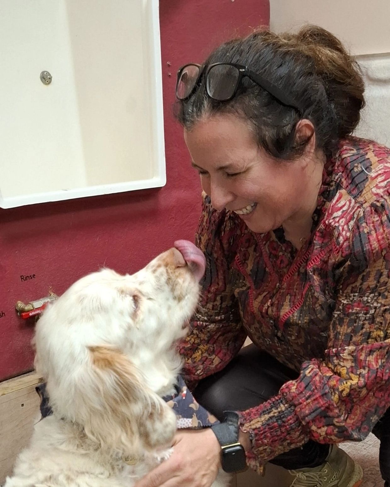 Woman smiling at a dog licking its nose indoors.
