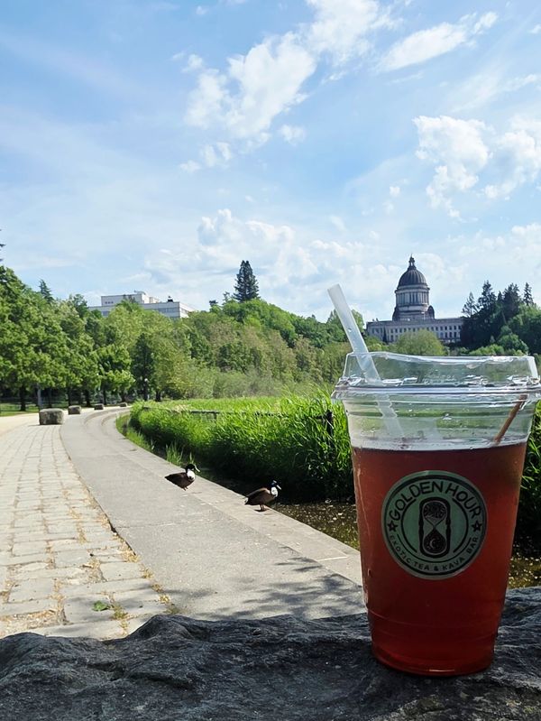 Iced Soda drink by a stone path with the Capitol building in the background.
