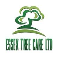 Essex Tree Care Ltd
