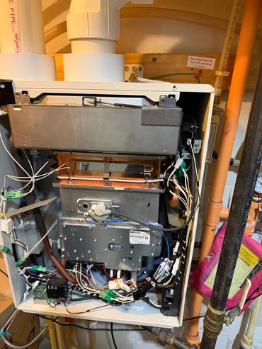 Tankless water heater diagnostic