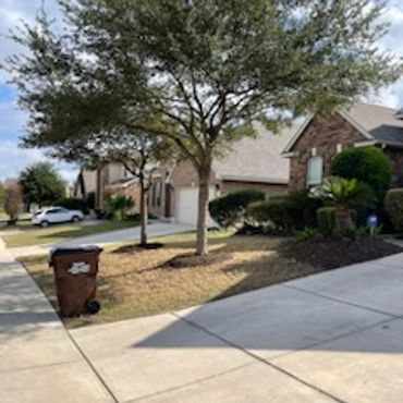 A suburban street with trees and houses under a blue sky.