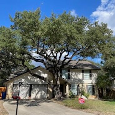 A two-story suburban house with large trees and a clear sky.