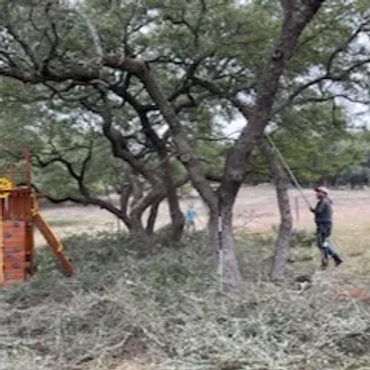 Two people trimming tree branches near a wooden play structure.