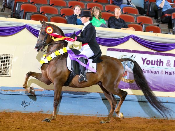 A rider in formal attire shows a decorated horse at a competition.