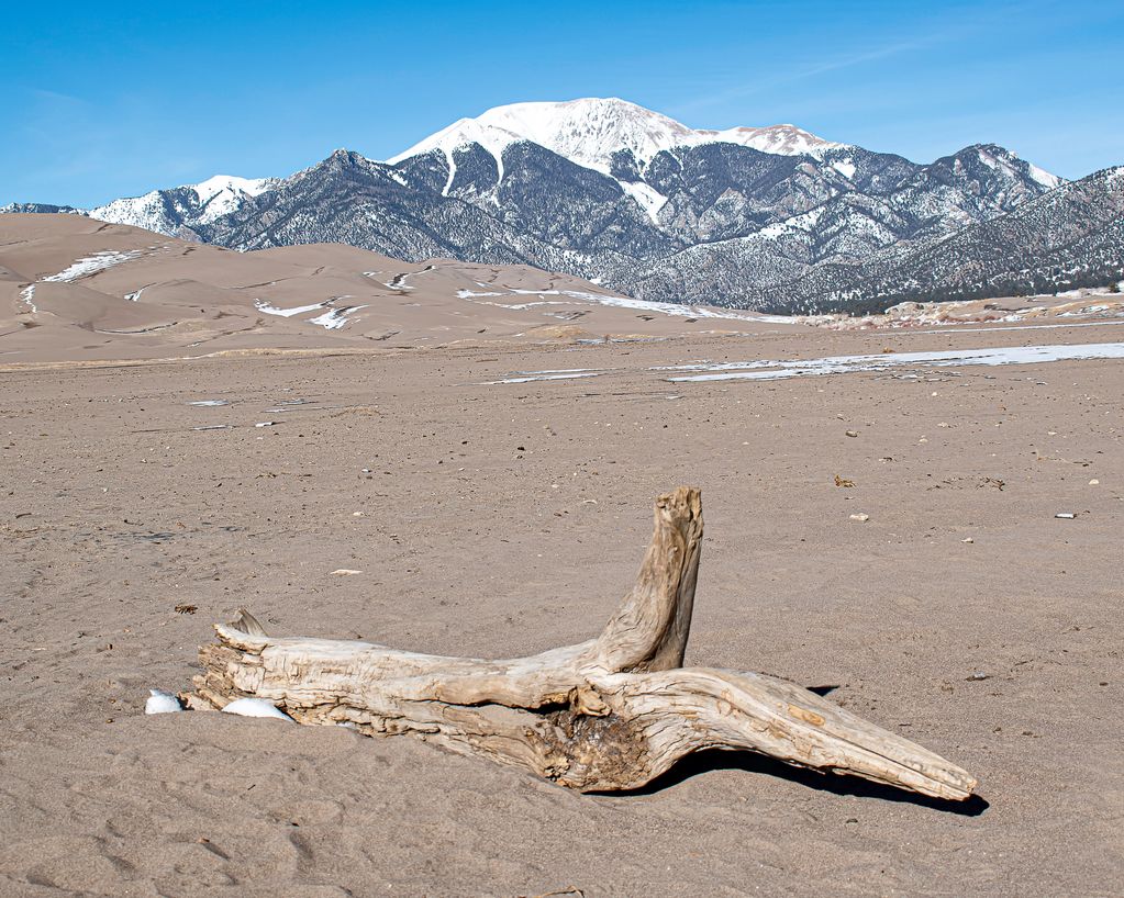 Dry riverbed with driftwood, sand dune and Sangre de Cristo Range mountains 