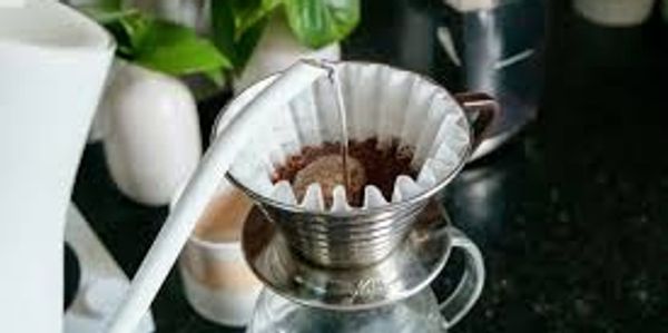 pour over dripper with kettle and plants