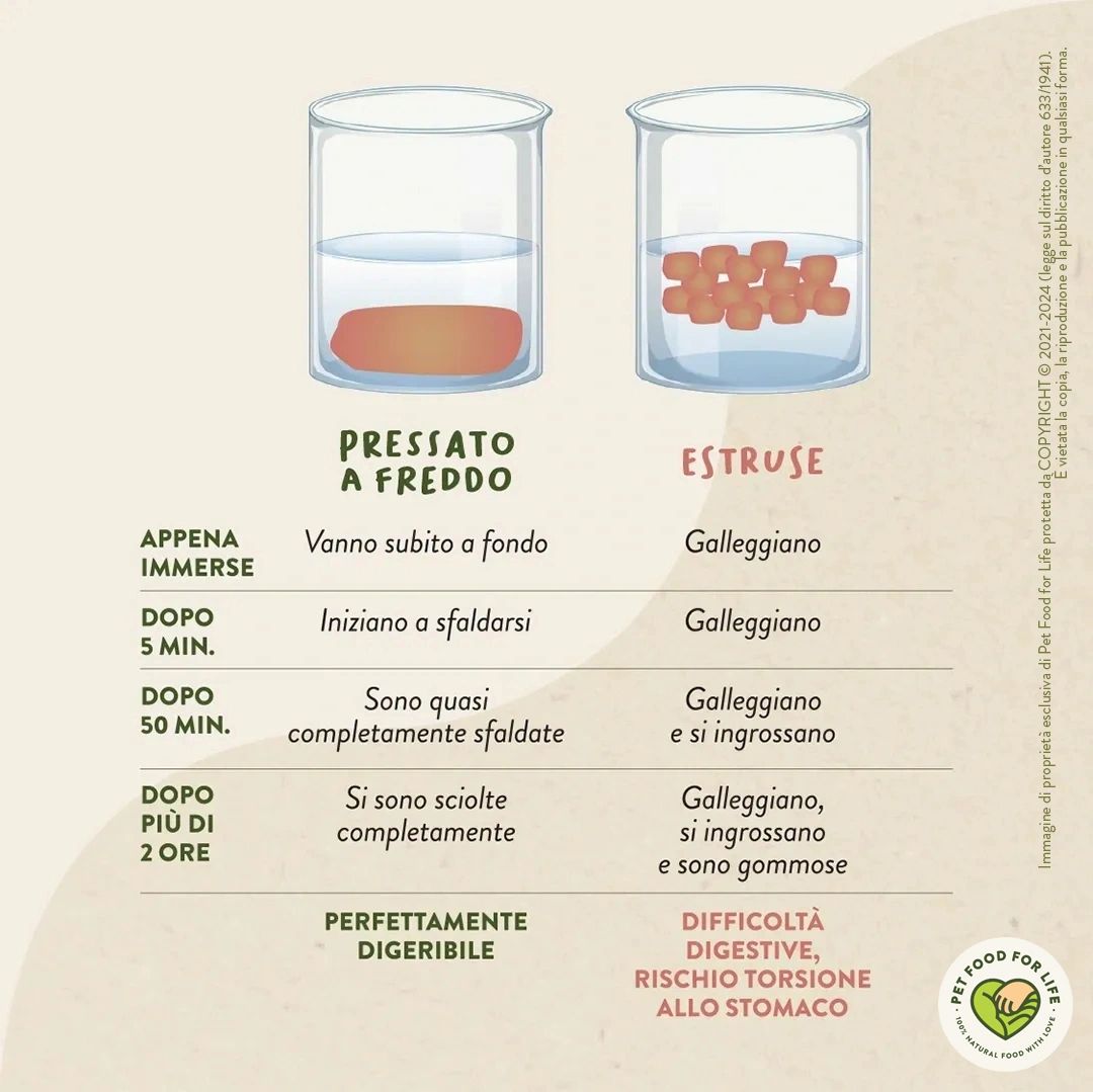 Tabella comparativa tra le crocchette pressate a freddo di Reico e le crocchette estruse
