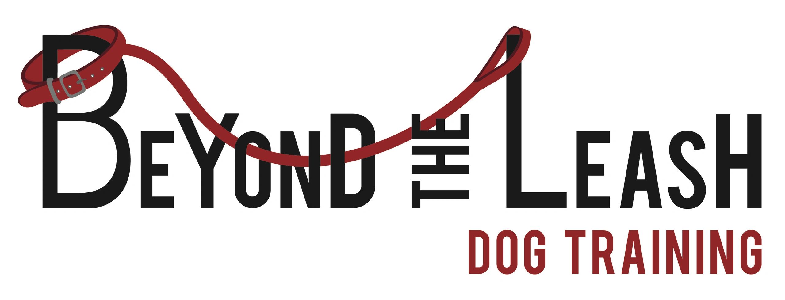 Dog Training - Beyond The Leash Dog 