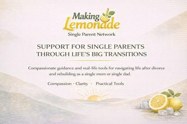 Making Lemonade The Single Parent Reset Network