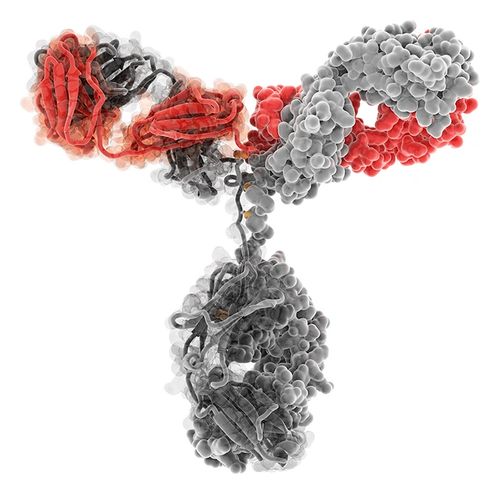 biologic biosimilar protein drug CQA monoclonal aggregation stability pharmaceutical excipient HOS