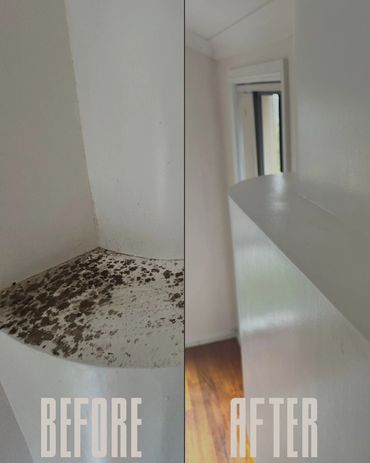 Mould Cleaning, House Cleaning