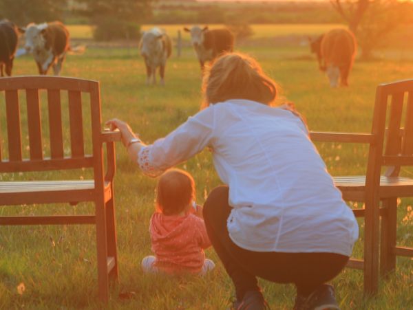 Comunidad de las Moscas