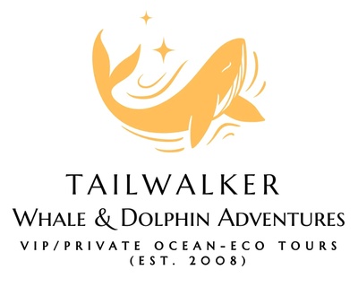Tailwalker Whale & Dolphin Adventures