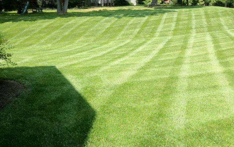 image132