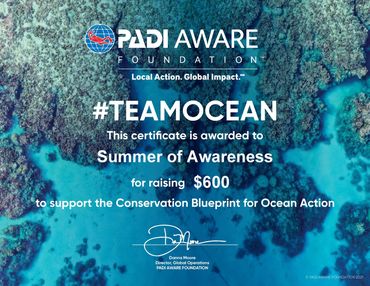 padi aware team ocean teamocean summer of awareness scuba diving charity stream non profit sea