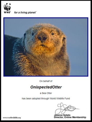 wwf for a living planet pokemon otter sea world wildlife fun narwhal pod adoption