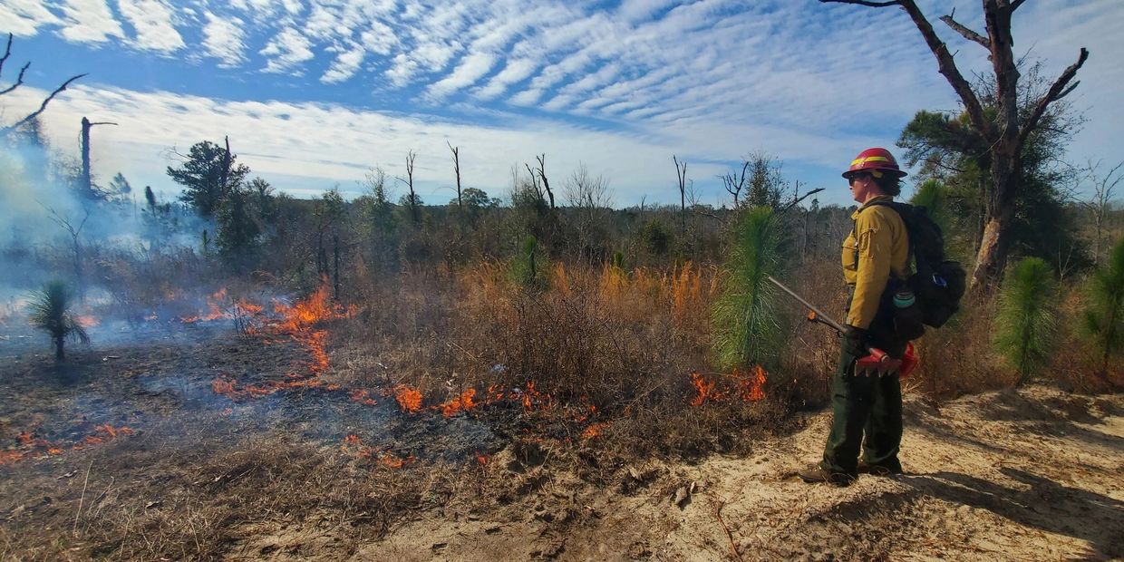 A prescribed fires at Ochillee Farm in Chattahoochee County, Georgia.