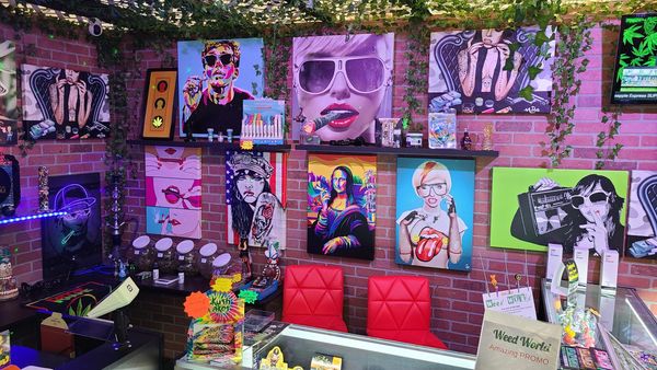 Cool retro canvas inside Weed World.